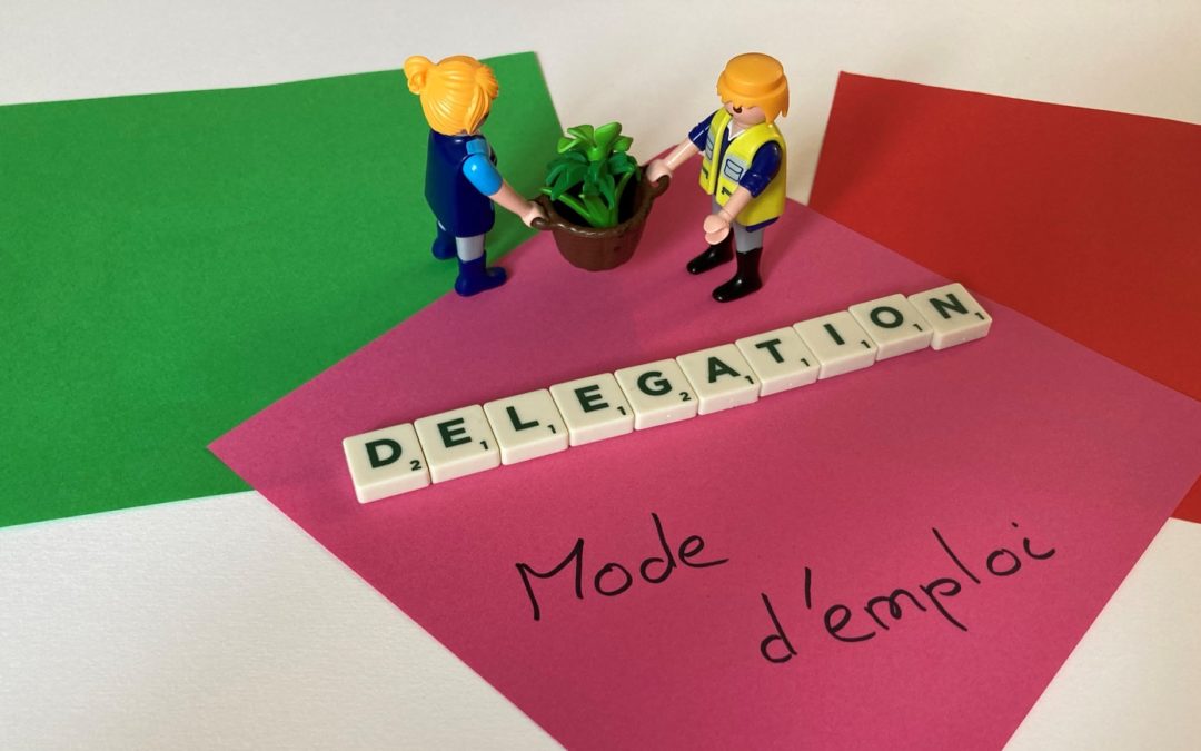 Delegation-mode-d-emploi
